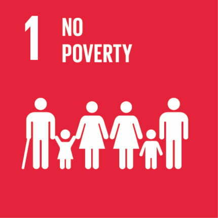 SDG 1