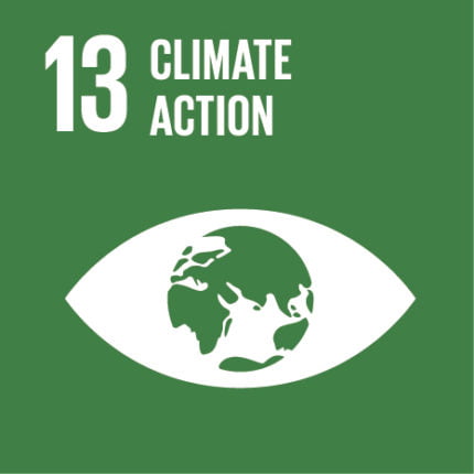 SDG 8